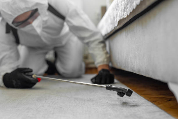 Professional Bed Bug Control technician working in Hale County County, TX